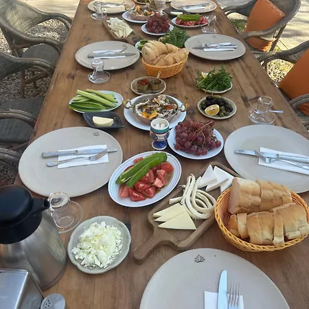 Hotel Mavi Lotus & Restorant Yaka (Mugla)