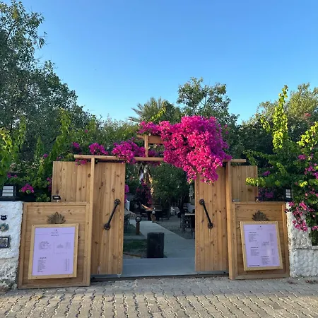 Mavi Lotus & Restorant Hotel