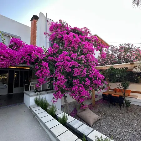 Hotel Mavi Lotus & Restorant Yaka (Mugla)